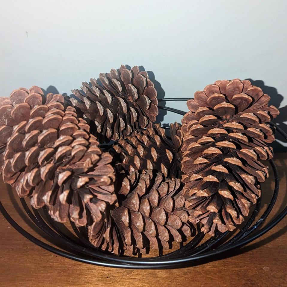 Large Pinecones Scented or Unscented