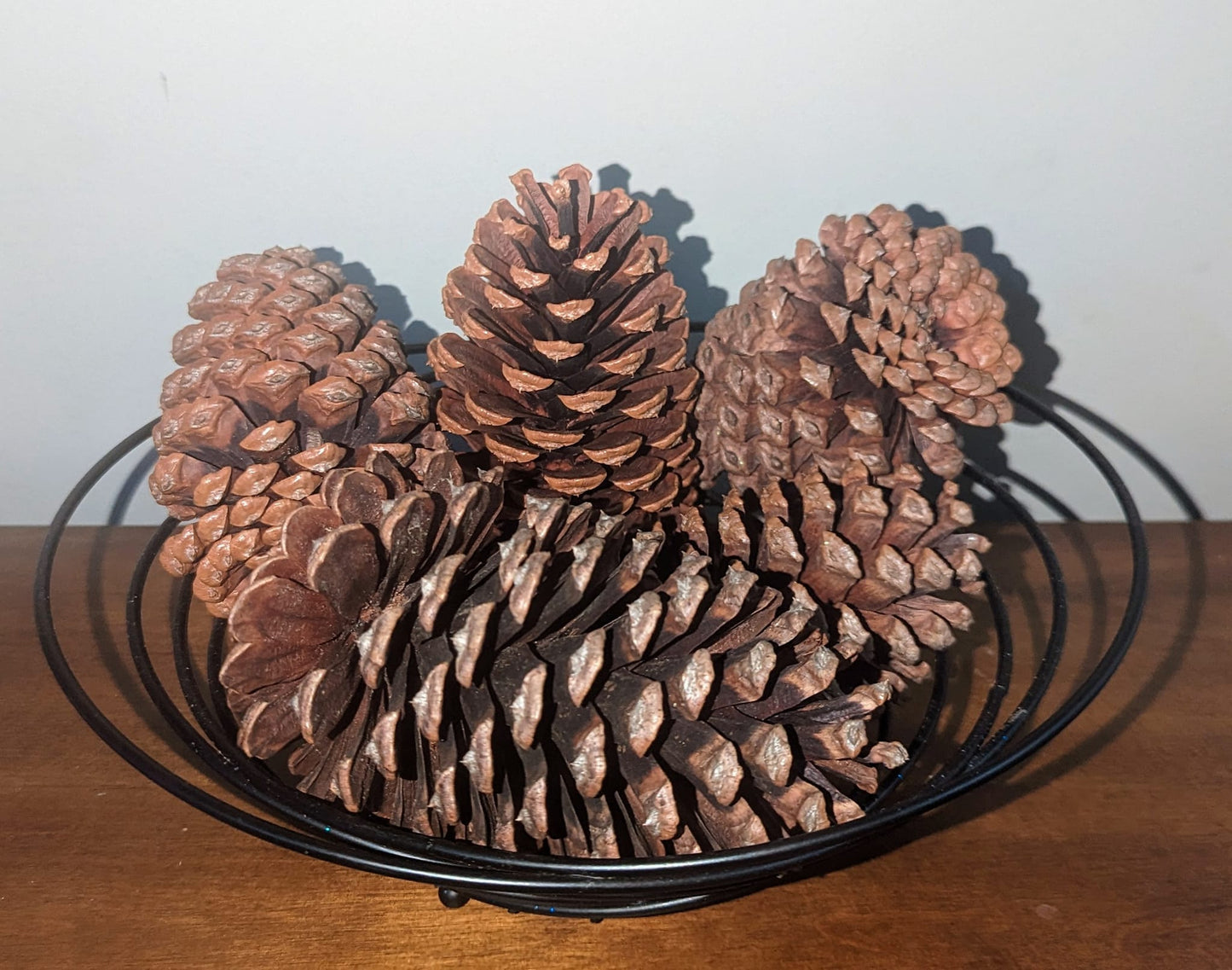 Large Pinecones Scented or Unscented Set of 5