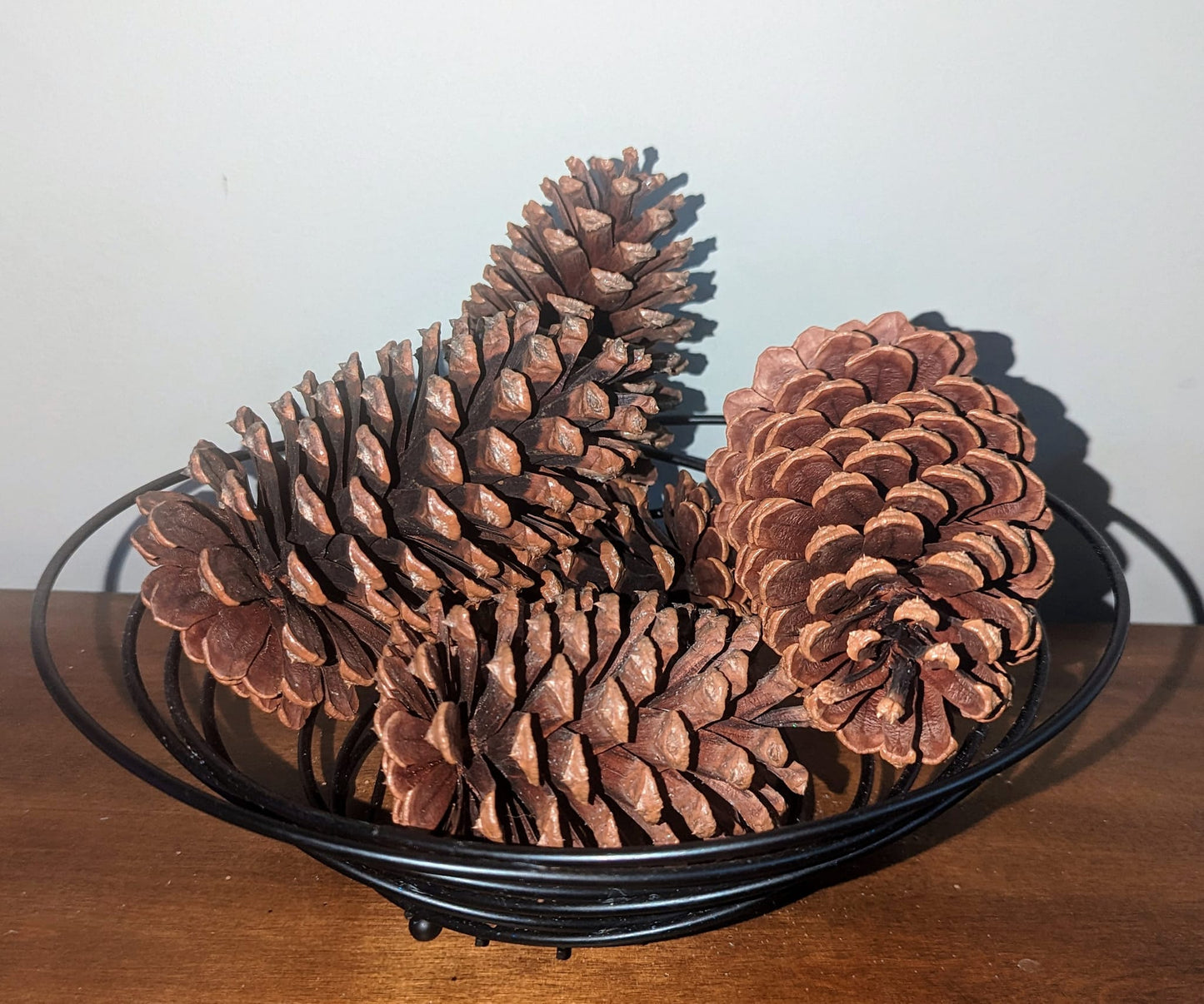 Large Pinecones Scented or Unscented Set of 5
