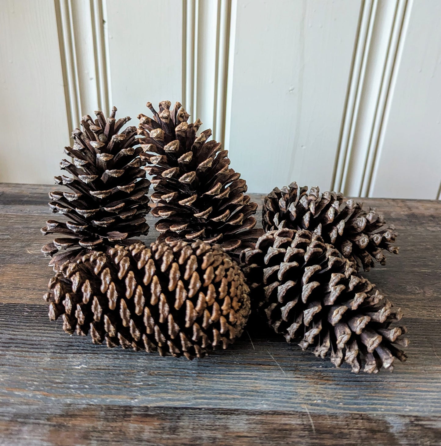 Medium Pinecones Scented or Unscented