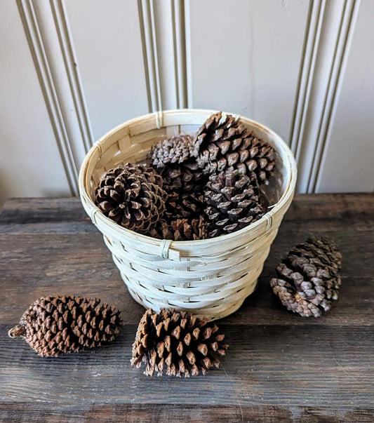 Small Pinecones Scented or Unscented Set of 9