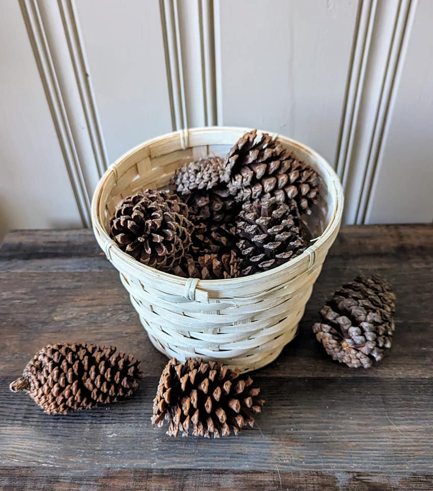 Small Pinecones Scented or Unscented