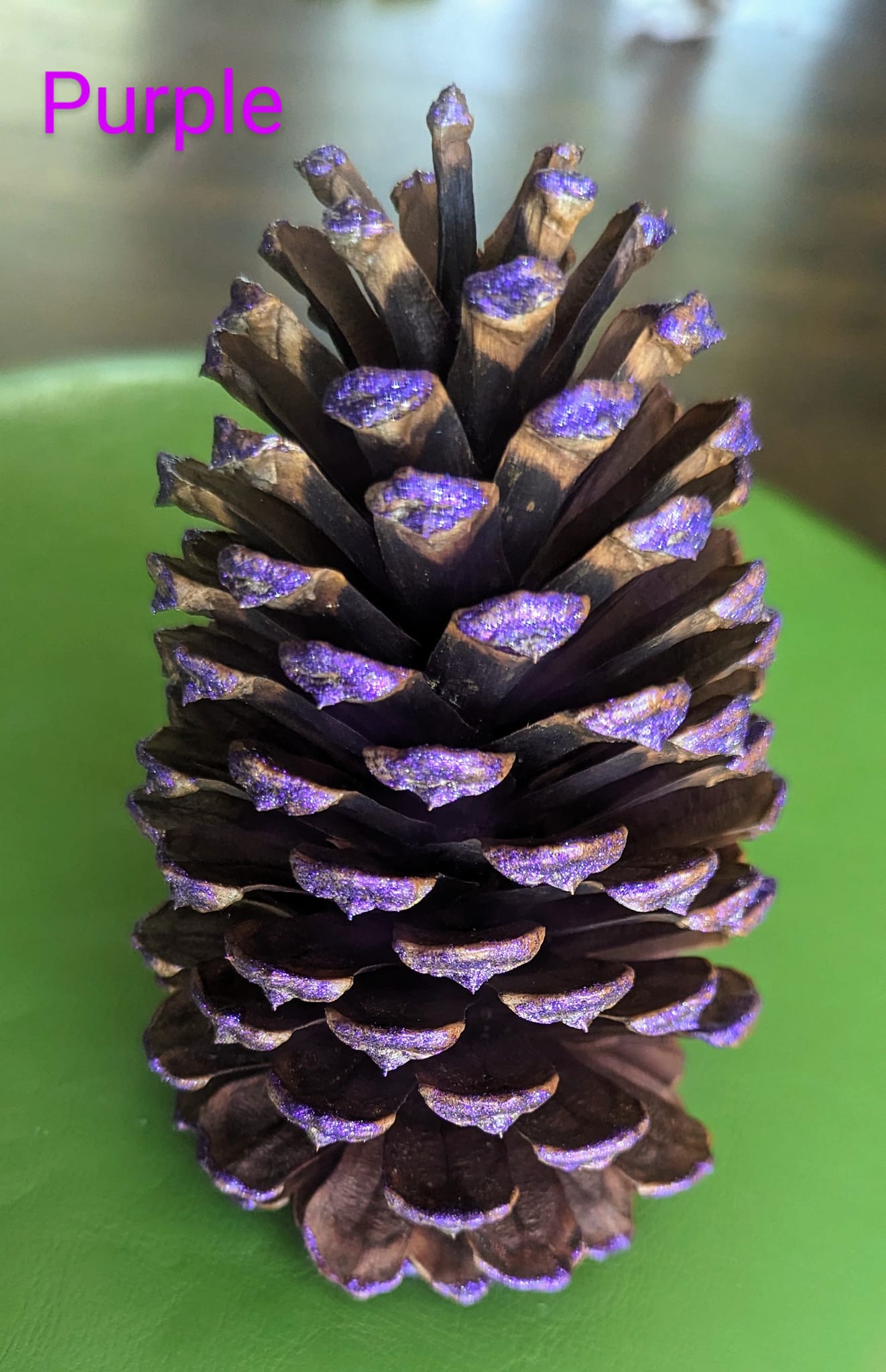 Small Pinecones Colored and Scented or Colored and Unscented