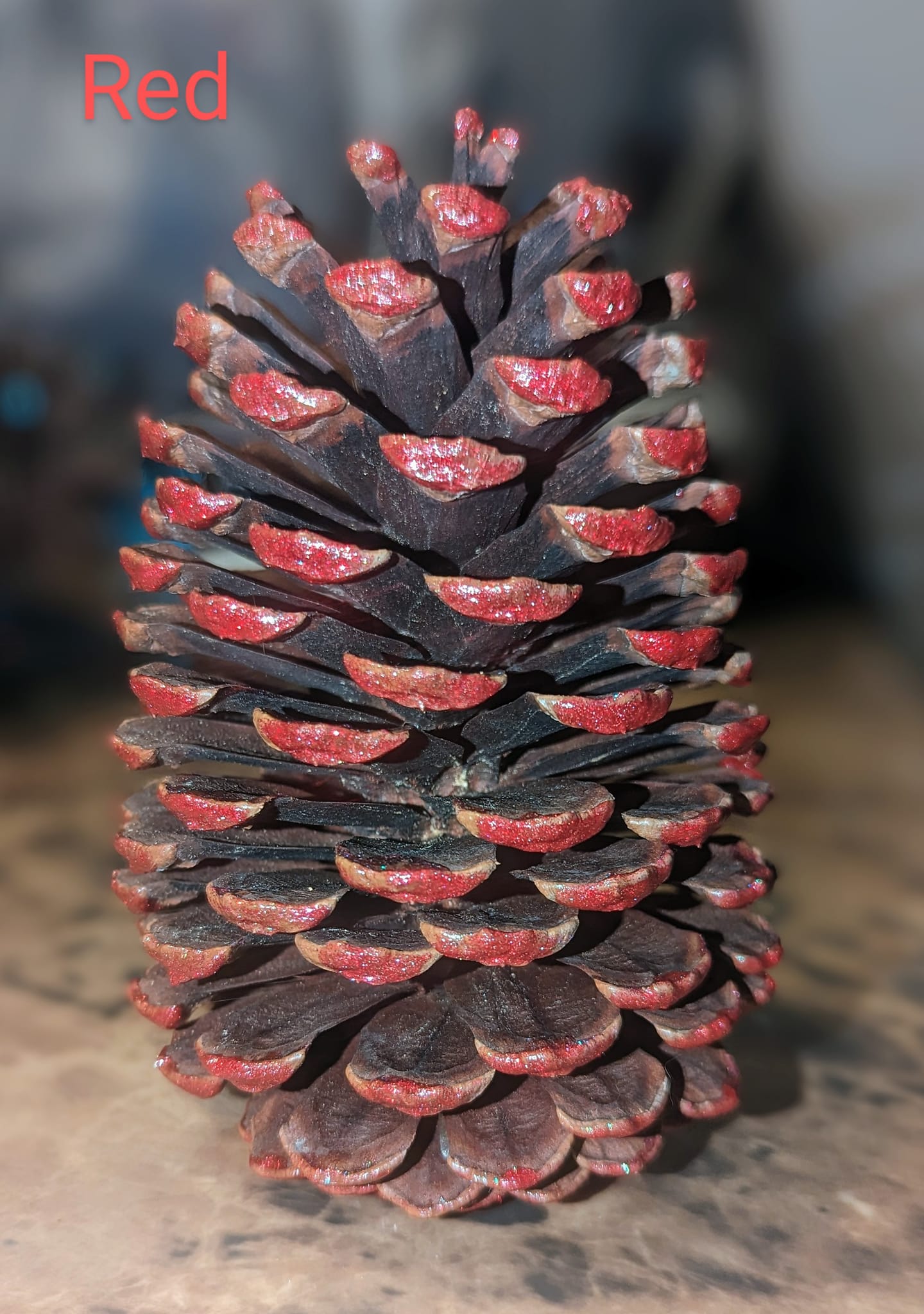 Medium Pinecones Colored and Scented or Colored and Unscented