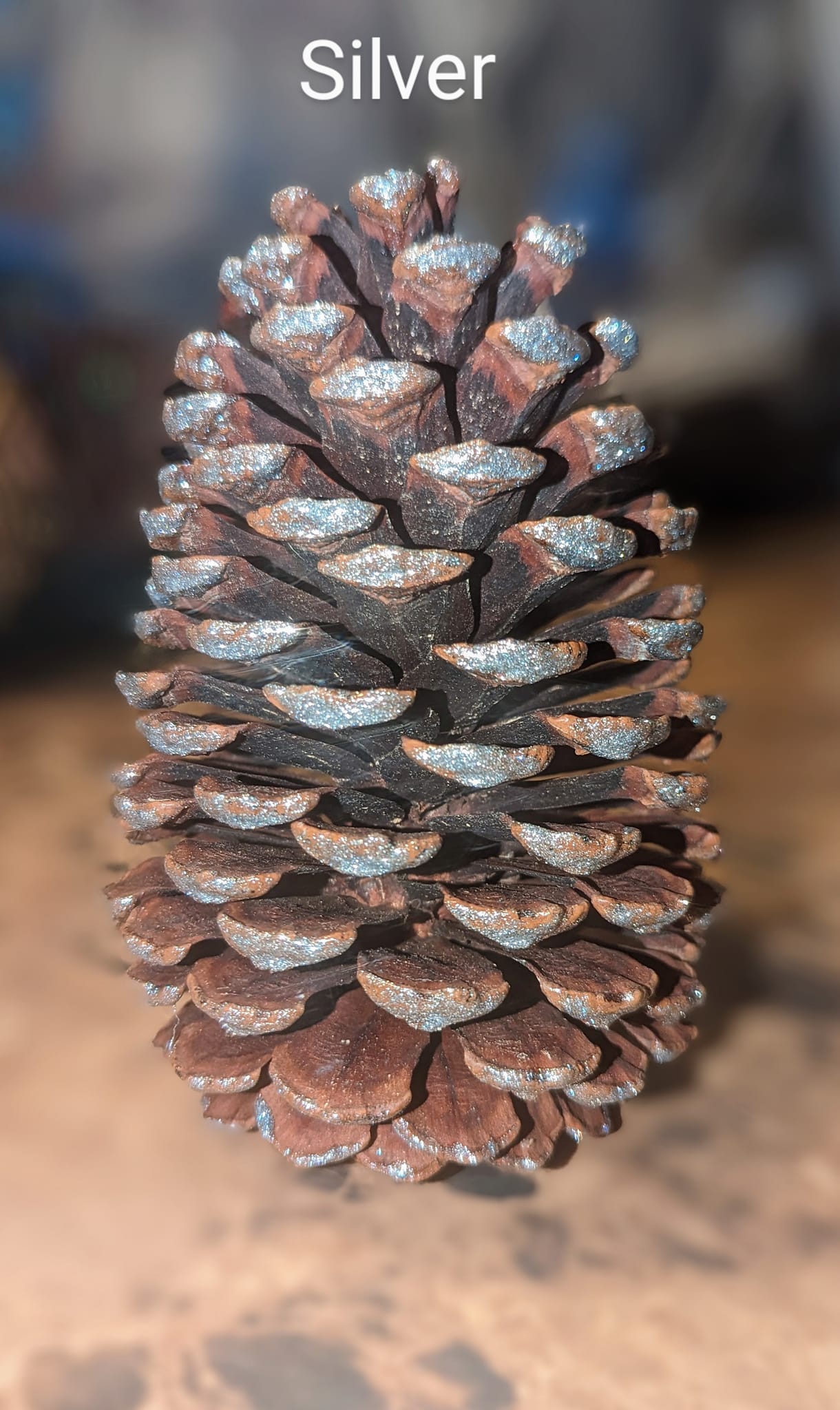 Large Pinecones Colored and Scented or Colored and Unscented