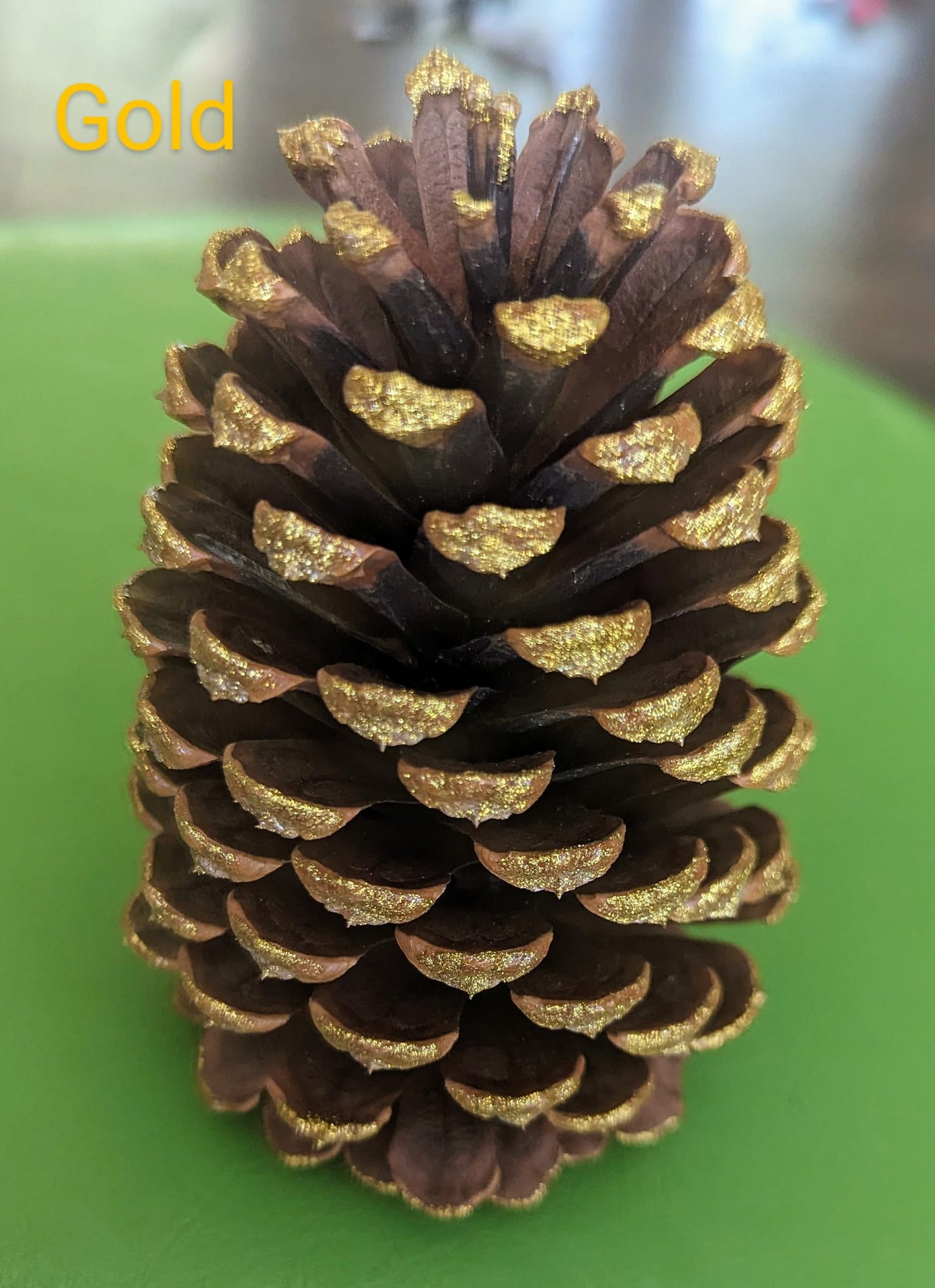 Large Pinecones Colored and Scented or Colored and Unscented