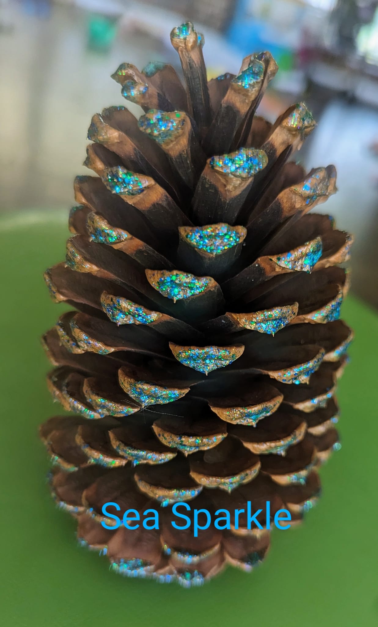 Medium Pinecones Colored and Scented or Colored and Unscented Set of 5