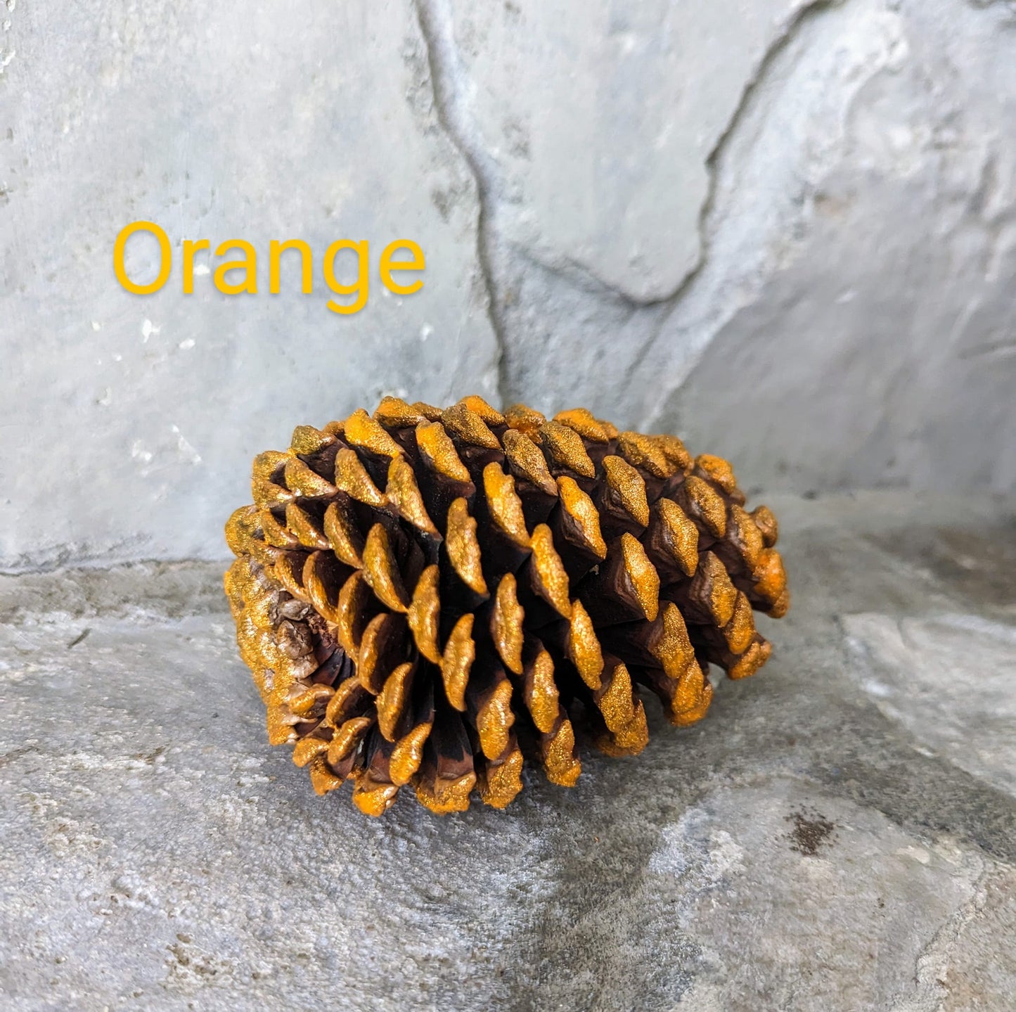 Medium Pinecones Colored and Scented or Colored and Unscented Set of 5