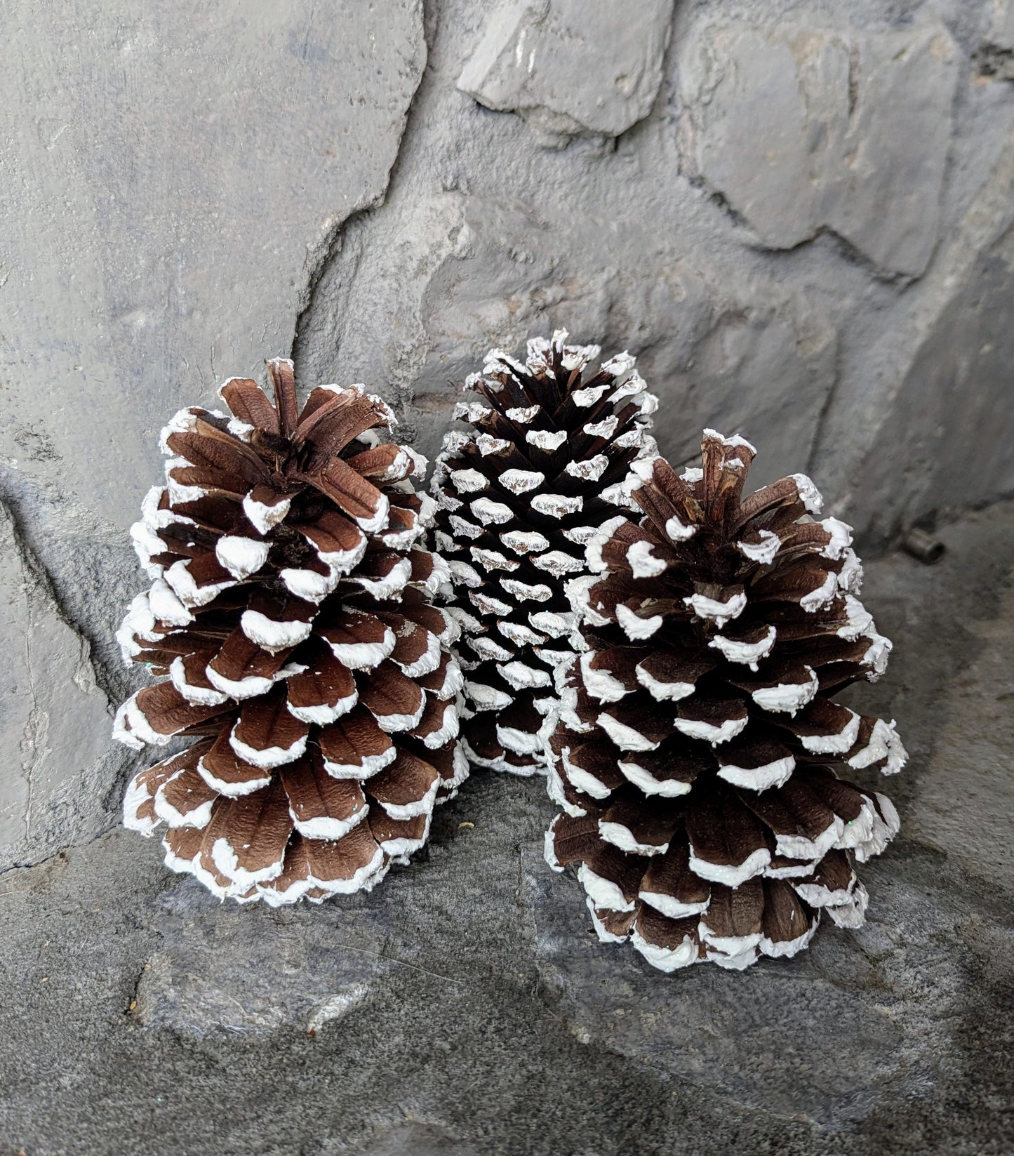 Glitter Snow Pinecones