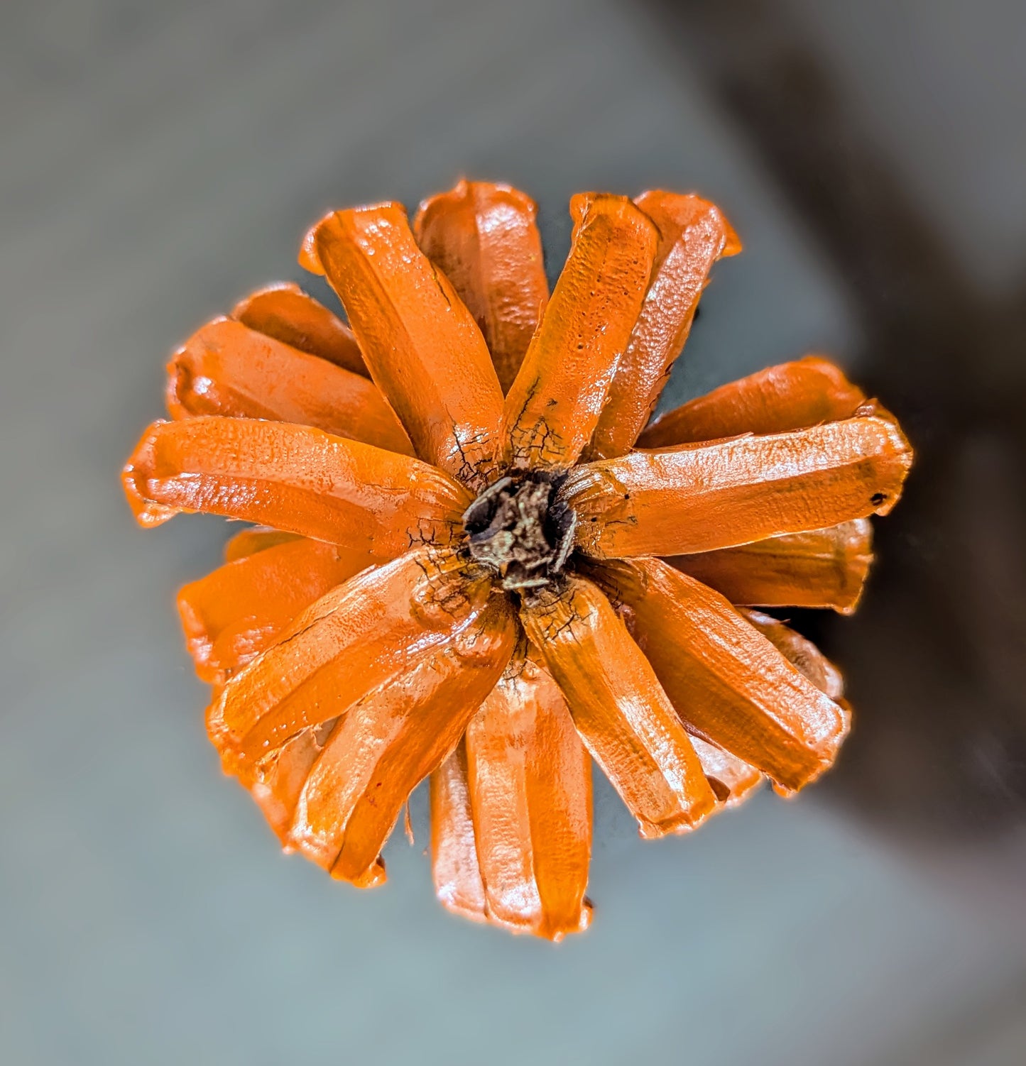 Custom wreath with spray painted flower pinecones