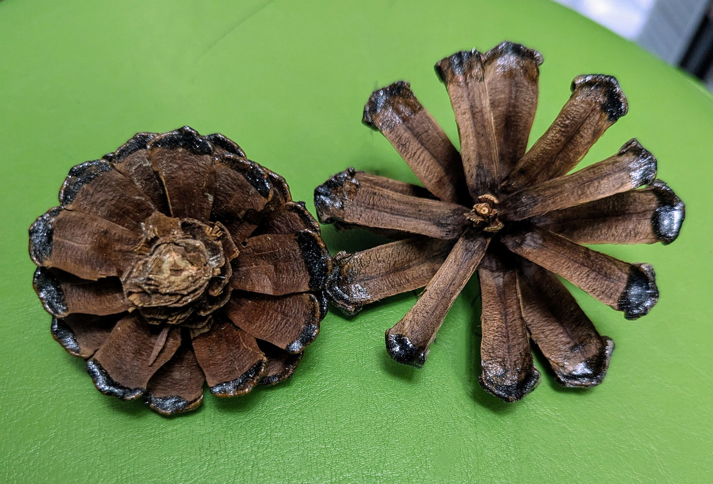 Custom wreath with glitter painted flower pinecones