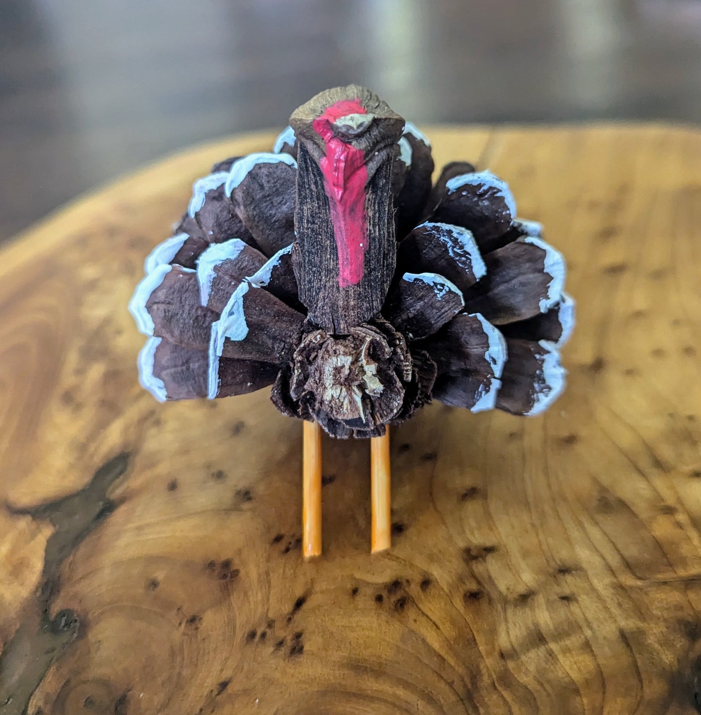 Pinecone Turkey