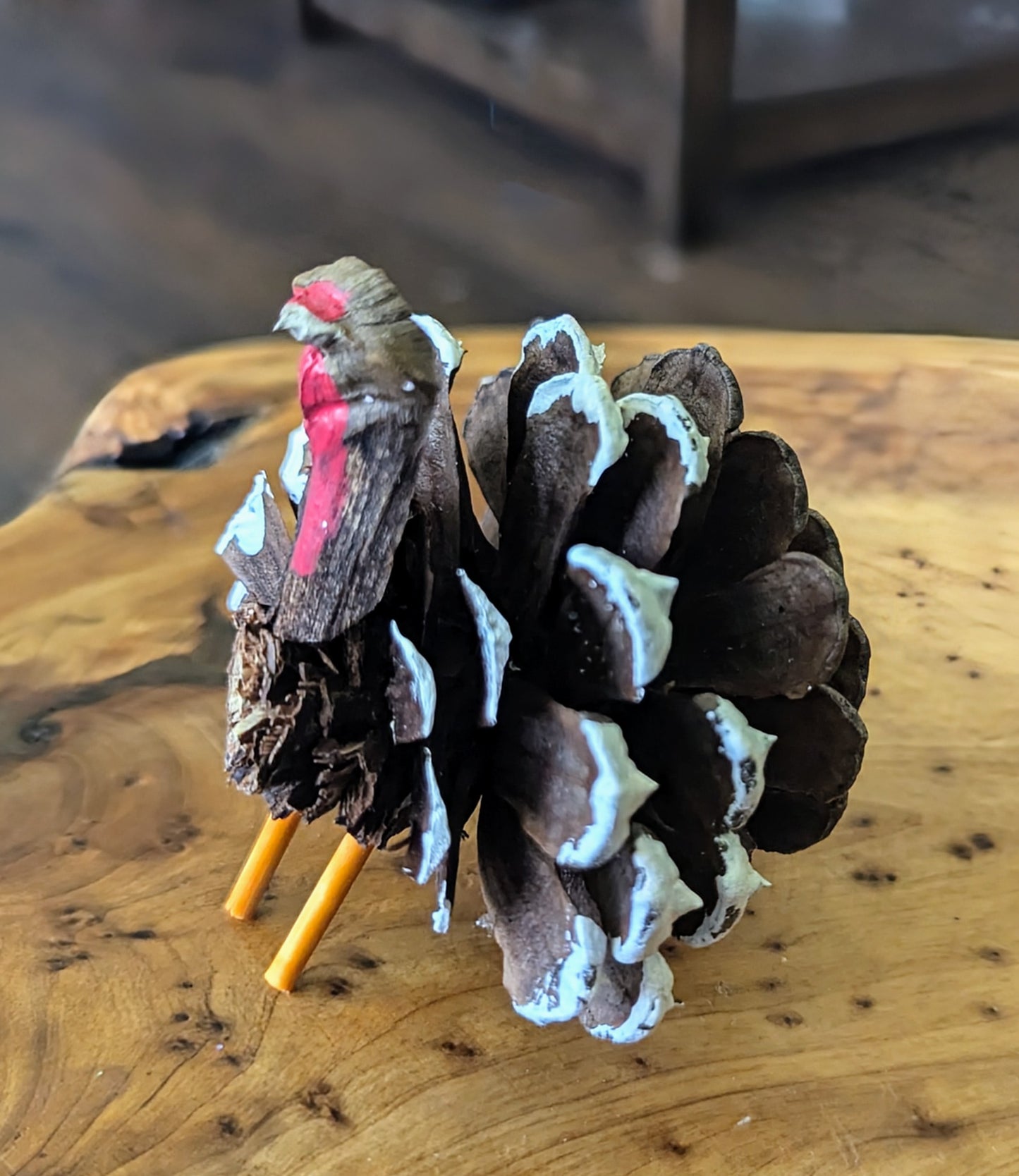 Pinecone Turkey