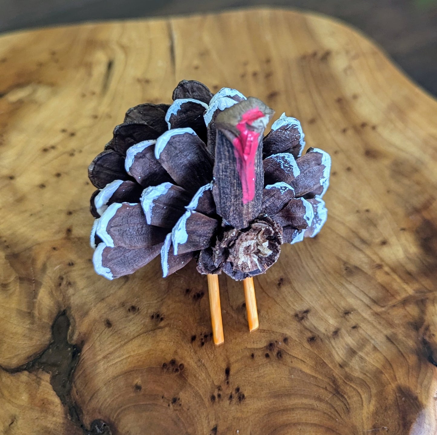 Pinecone Turkey