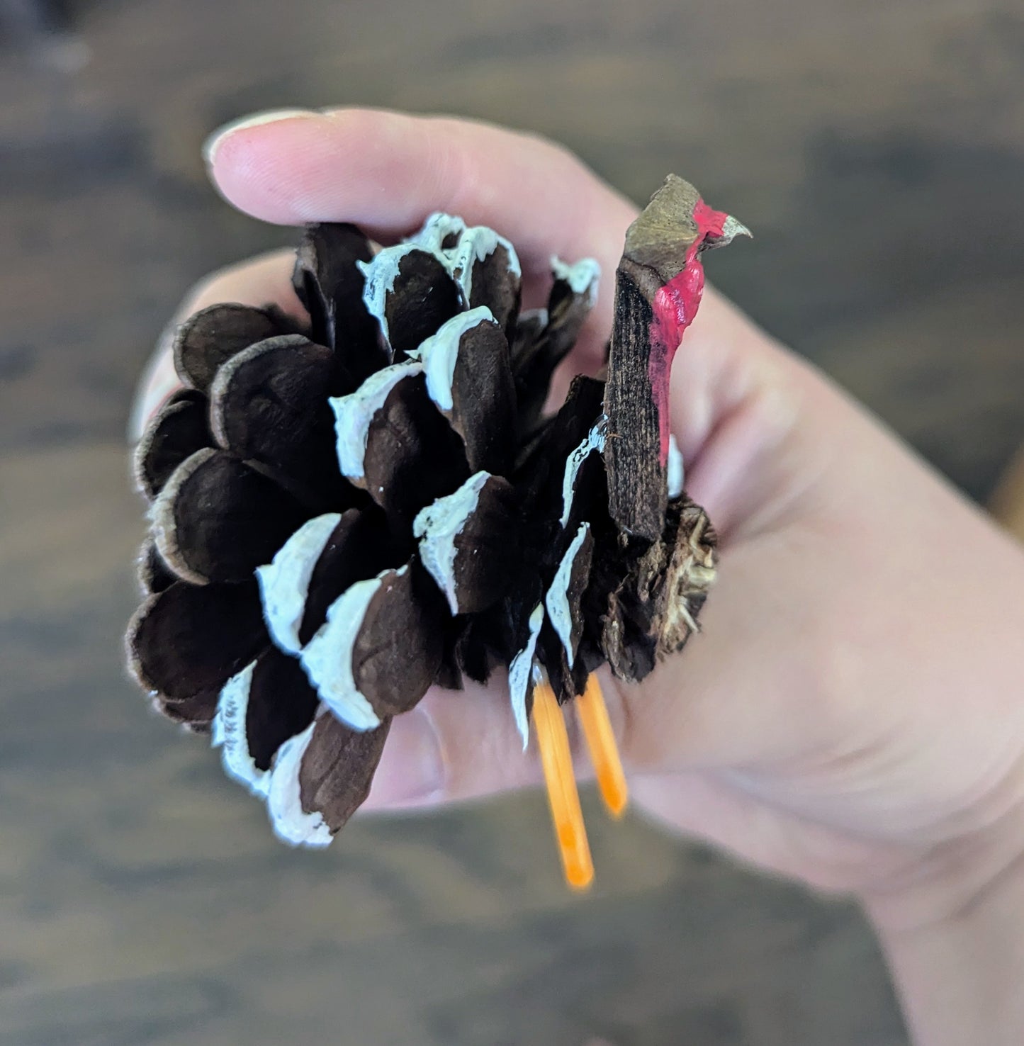 Pinecone Turkey