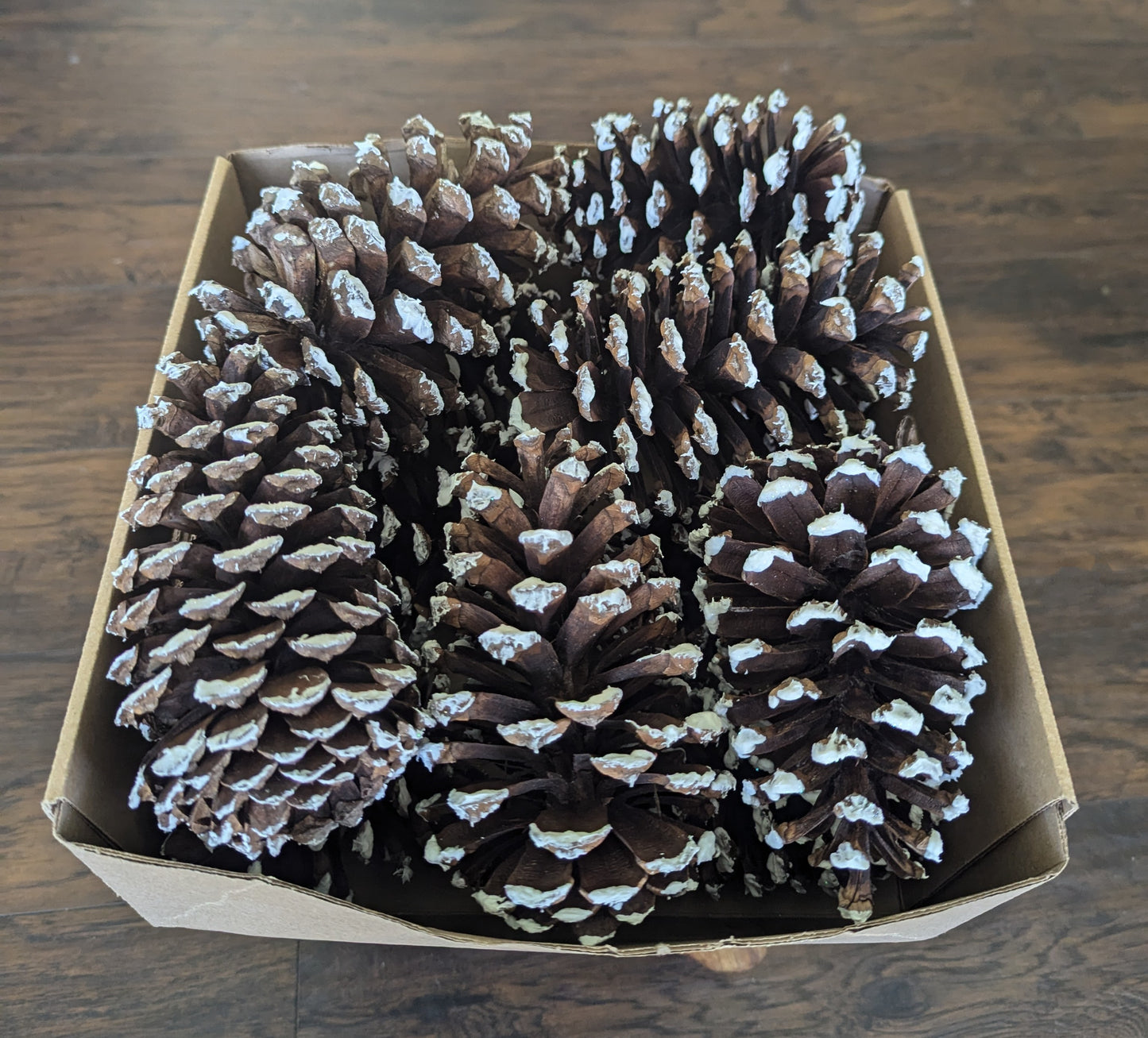 Glitter Snow Pinecones