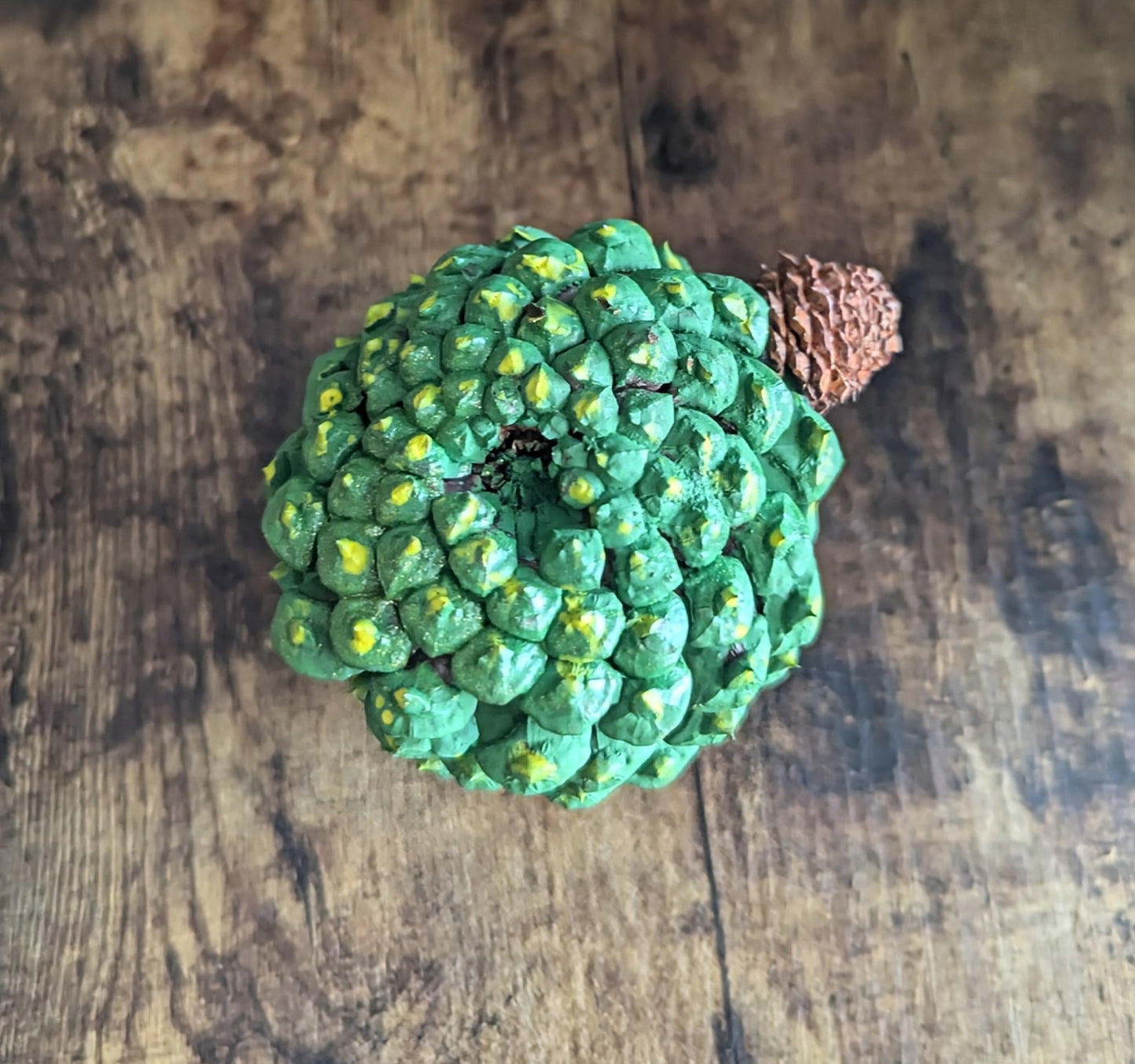 Pinecone Cactus