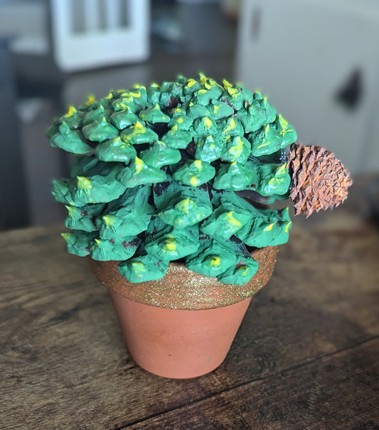 Pinecone Cactus