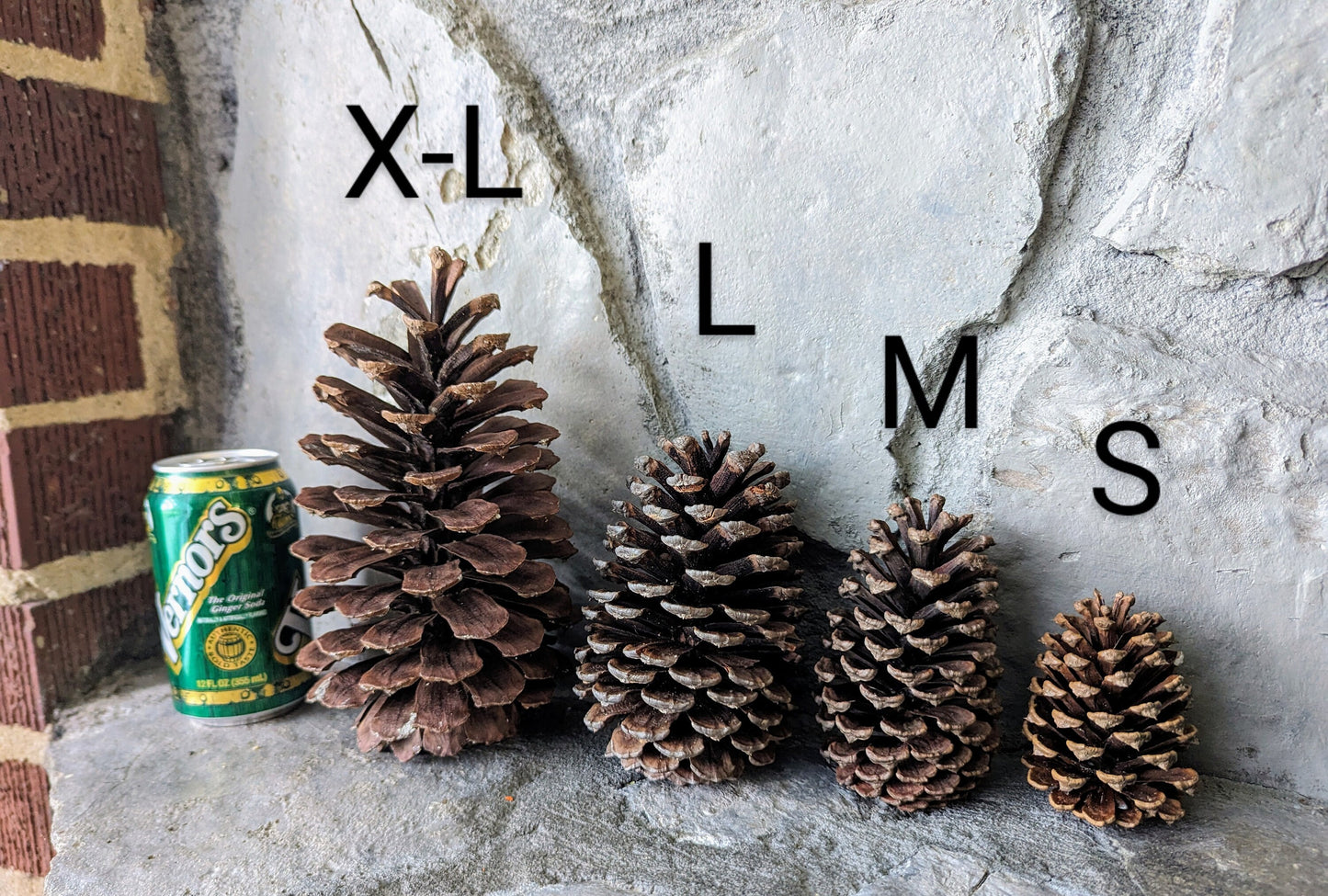 Imperfect Extra Large Pinecones Scented or Unscented Set of 4